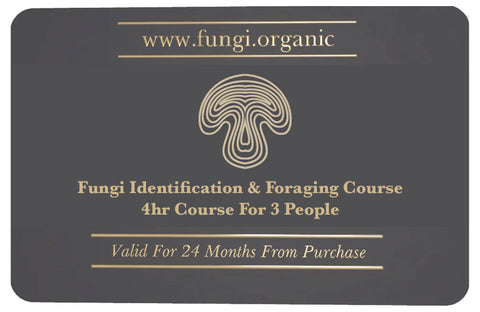 Fungi Identification & Foraging Course - 4hr Course For 3 People - Light Lunch Included
