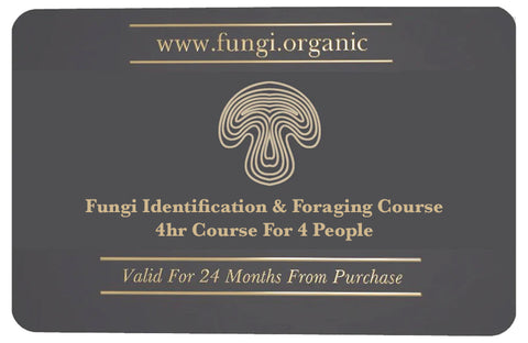 Fungi Identification & Foraging Course- 4hr Course For 4 People - Light Lunch Included