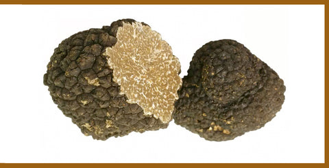 1g Autumn Black Truffle (Tuber Uncinatum) - Sold Per Gram