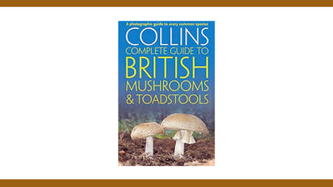 Collins Complete British Mushrooms and Toadstools (Paperback)