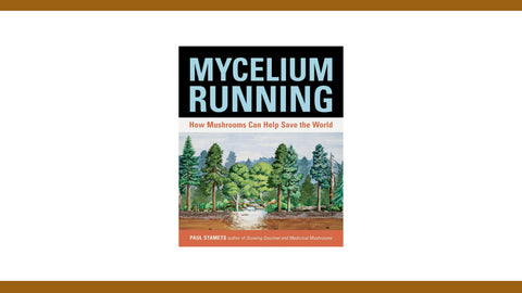 Mycelium Running : How Mushrooms Can Help Save the World (Paperback)