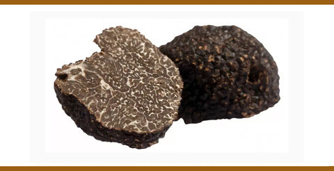 1g Perigord Black Truffle (Tuber Melanosporum) - Sold Per gram