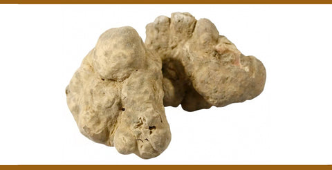 1g Alba White Truffle (Tuber Magnatum) - Sold Per Gram